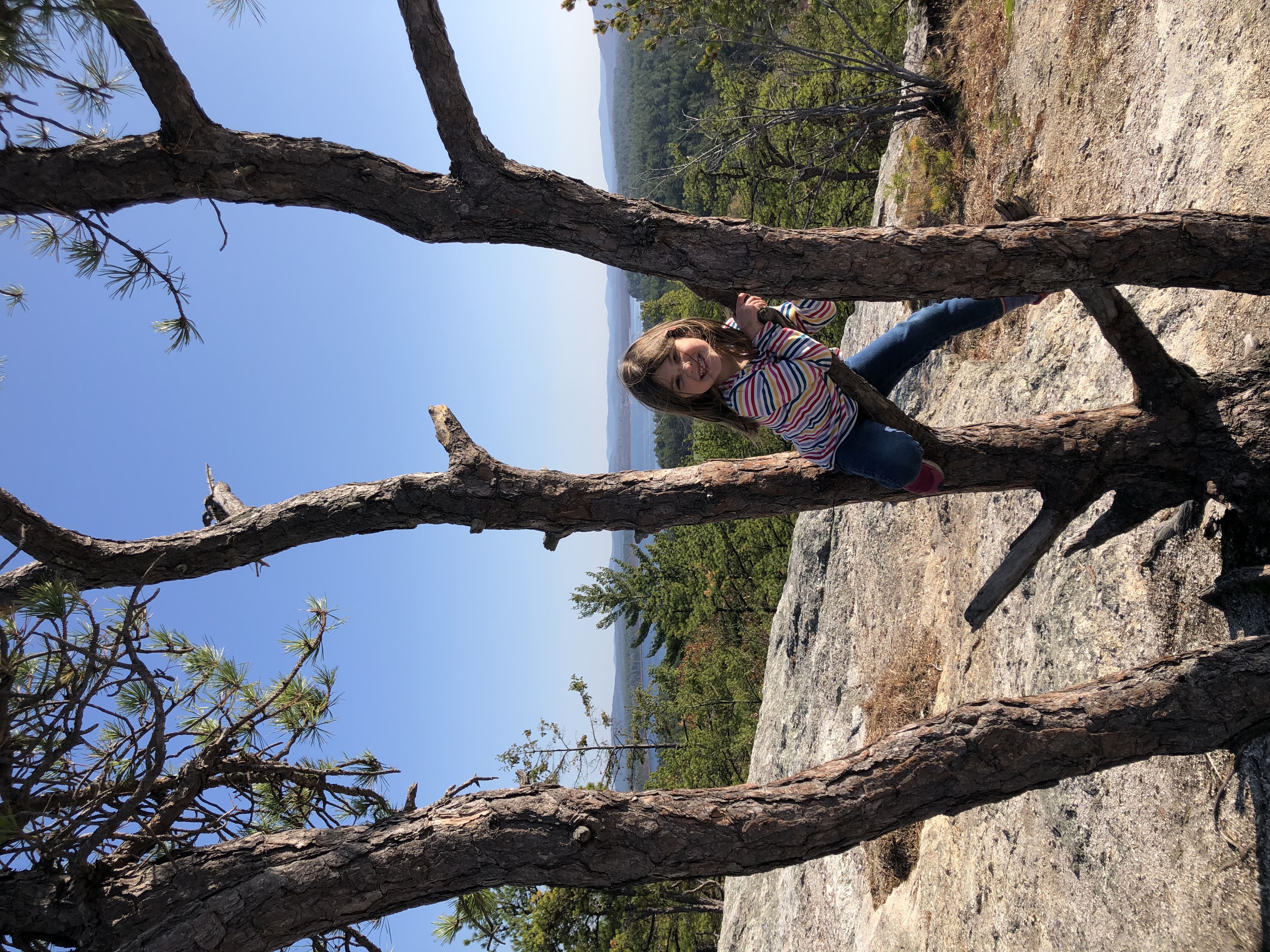 Jockey Cap CE IMG_8925