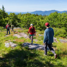 Web_Klementovich_Dundee